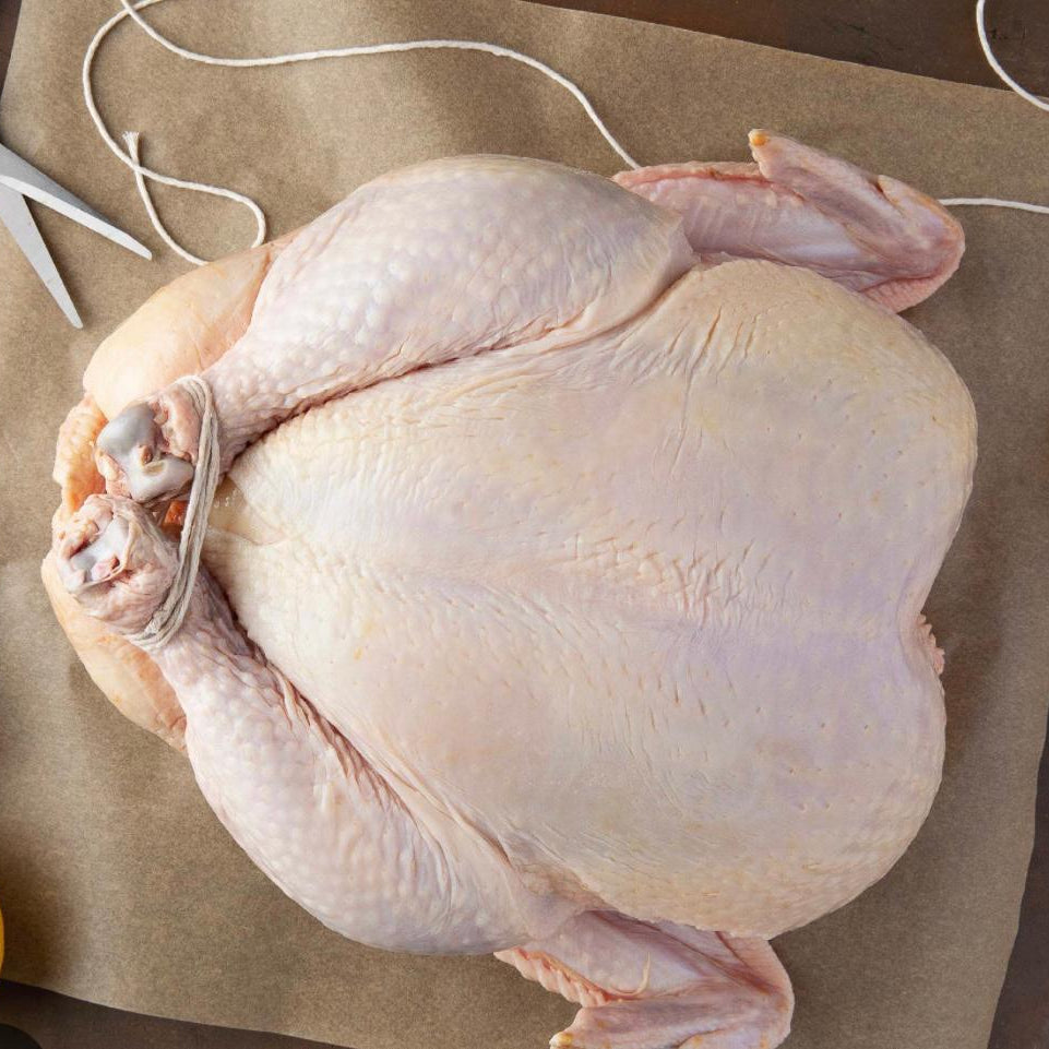 Christmas Chickens