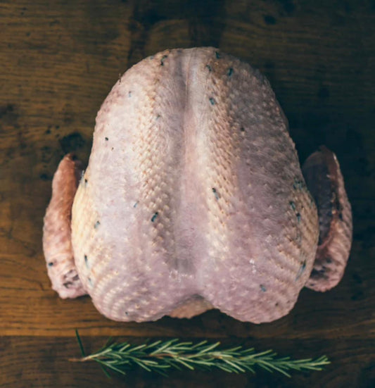 Turkey Crowns