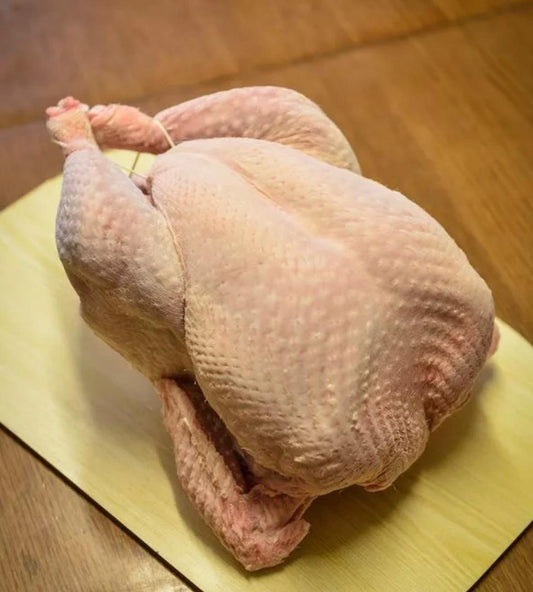 Barn-Reared White Turkey